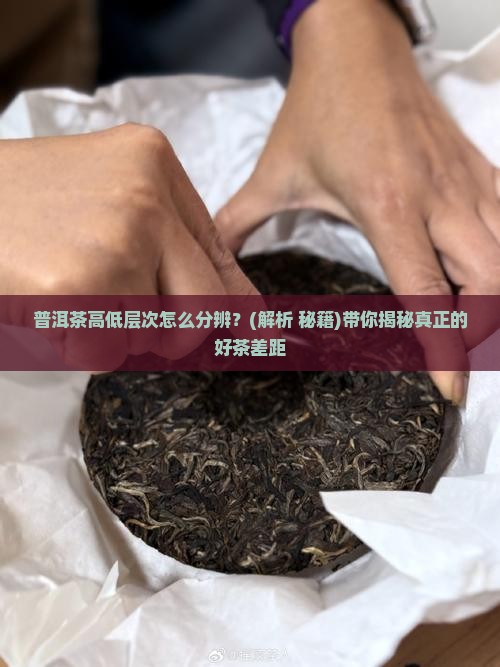 普洱茶怎么分辨高低层次