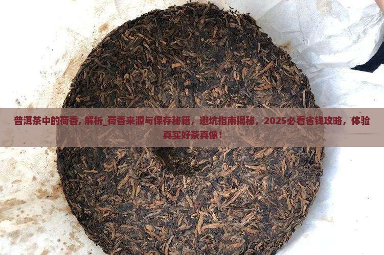 普洱茶中的荷香