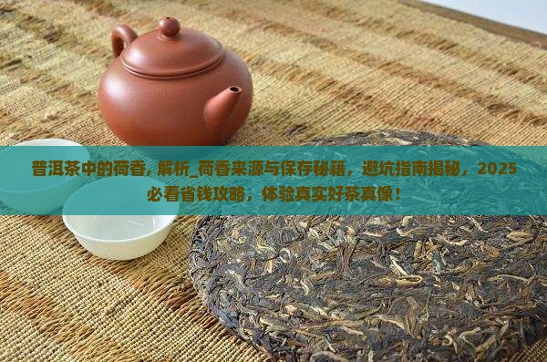 普洱茶中的荷香