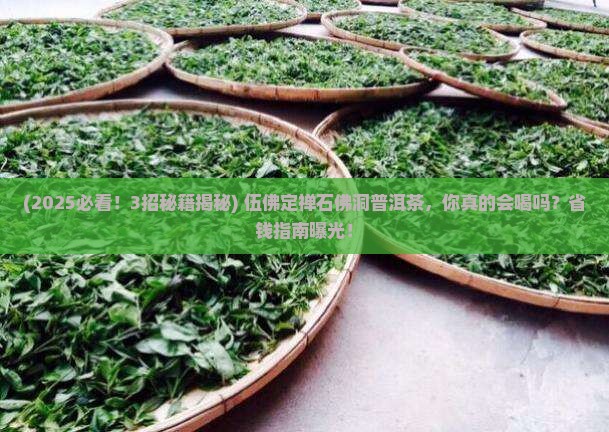 伍佛定禅石佛洞普洱茶