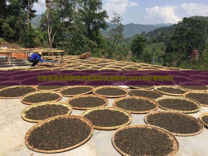 醉然香普洱茶化石怎么样