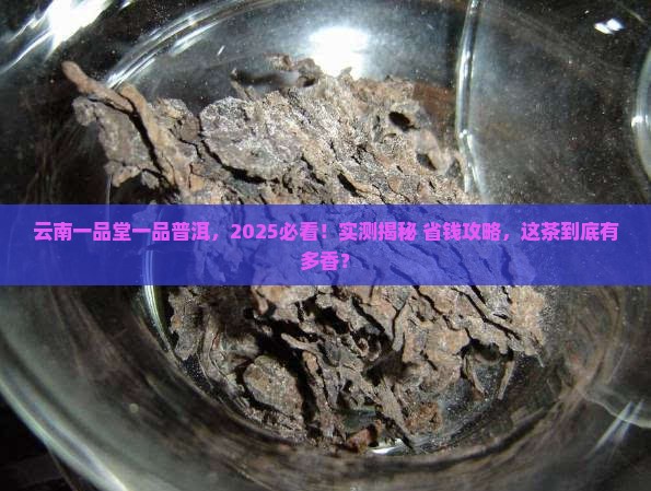 云南一品堂一品普洱