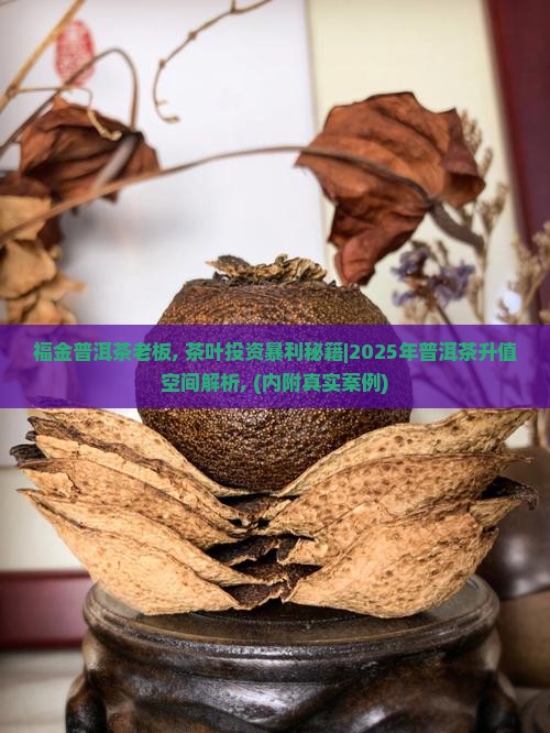 福金普洱茶老板