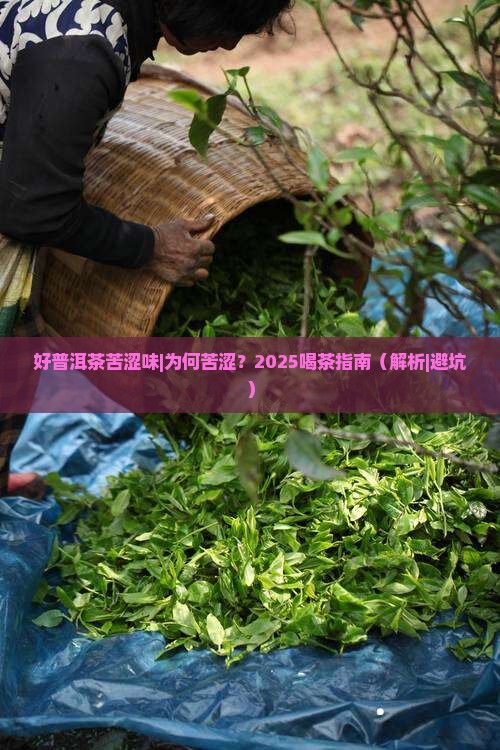 好普洱茶苦涩味