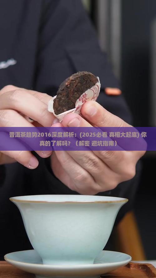 普洱茶趋势2016