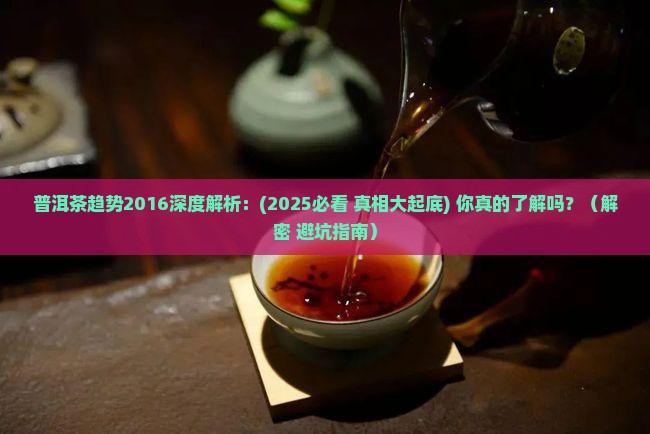 普洱茶趋势2016