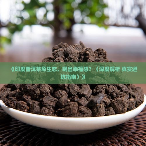 印度普洱茶原生态