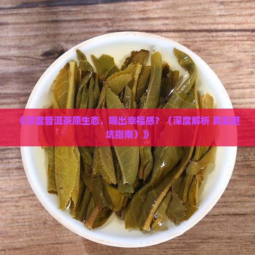印度普洱茶原生态