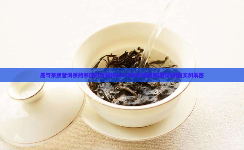 鹿与茶鲸普洱茶熟茶
