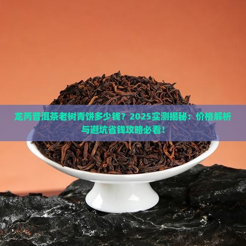 龙芮普洱茶老树青饼多少钱