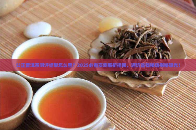 公正普洱茶测评结果怎么查