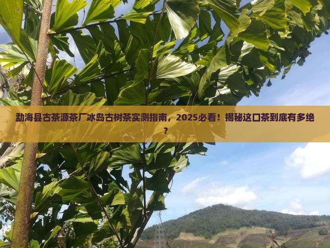 勐海县古茶源茶厂冰岛古树茶