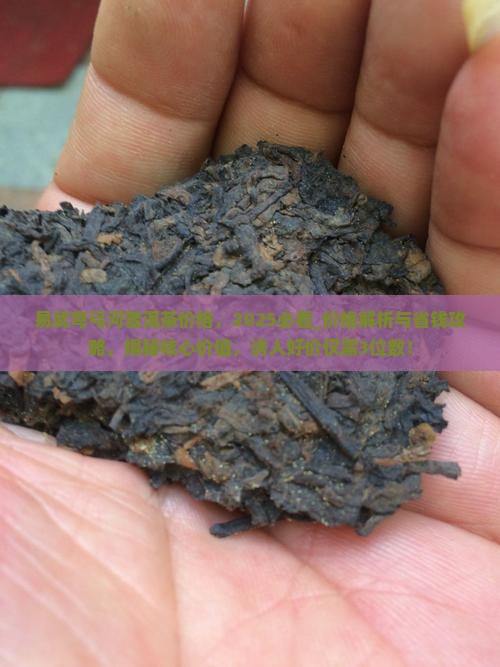 易武弯弓河普洱茶价格