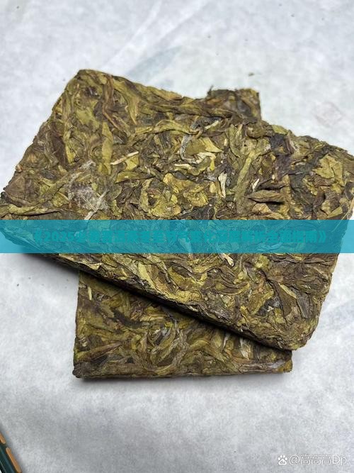 普洱茶冬至节气变化