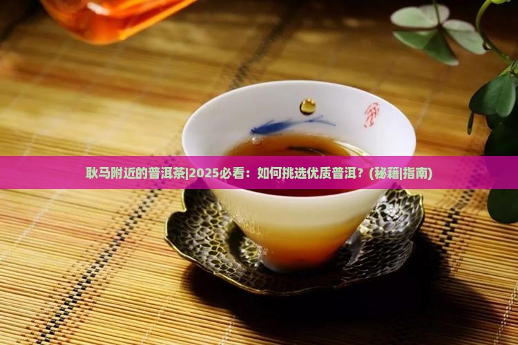 耿马附近的普洱茶