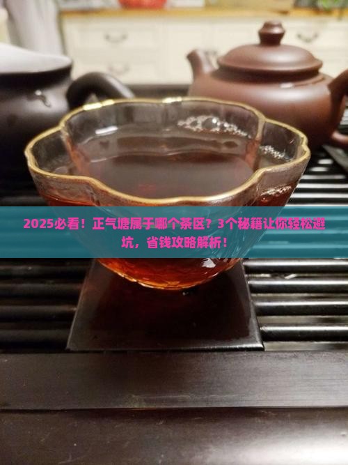 正气塘属于哪个茶区