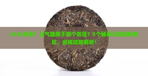 正气塘属于哪个茶区