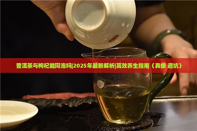 普洱茶与枸杞能同泡吗