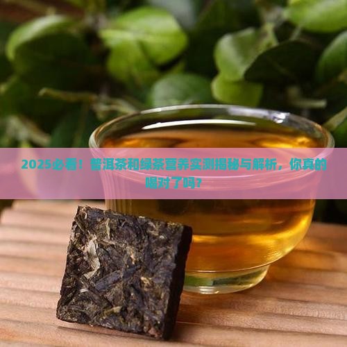 普洱茶和绿茶营养