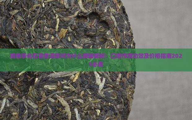 糯香茶化石是普洱茶吗为什么
