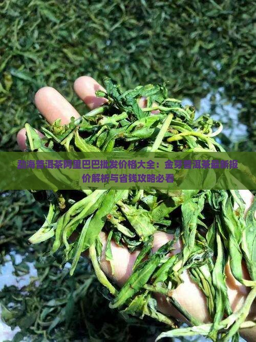 劲海金芽普洱茶价格