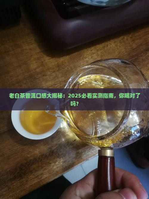 老白茶和普洱茶口感像一样吗