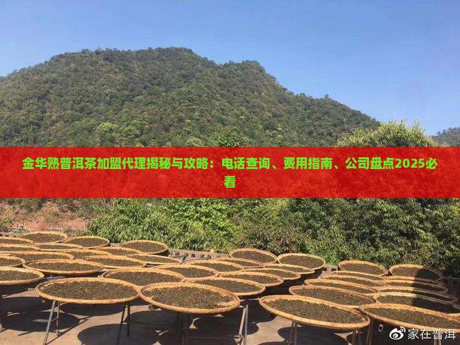 金华熟普洱茶加盟代理