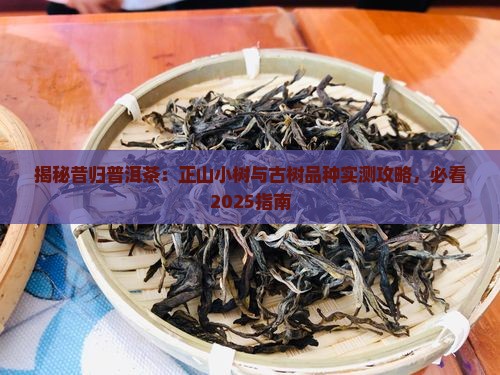 昔归茶有正山小树吗