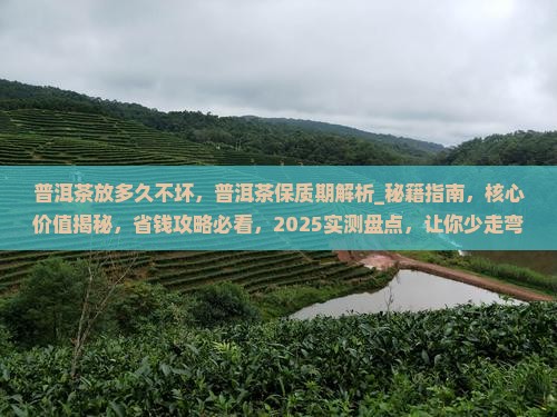 普洱茶放多久不坏