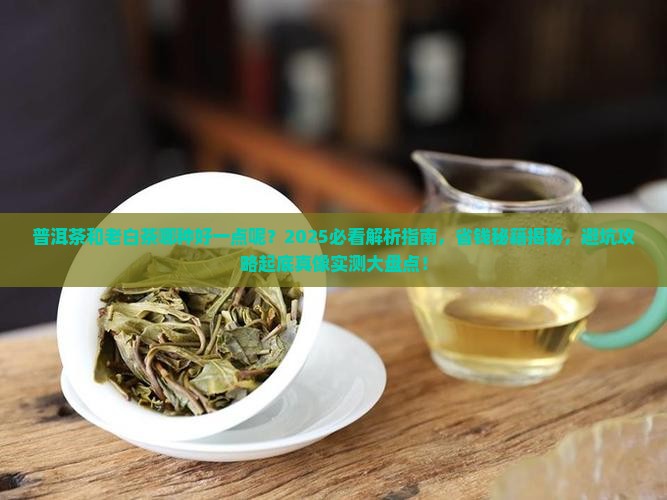 普洱茶和老白茶哪种好一点呢