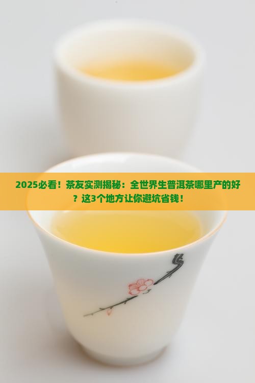 全世界生普洱茶哪里产的好