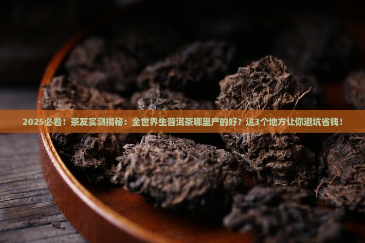 全世界生普洱茶哪里产的好
