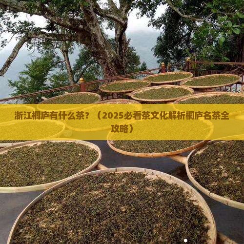 浙江桐庐有什么茶