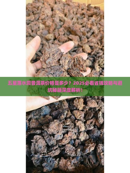 五星落水洞普洱茶价格