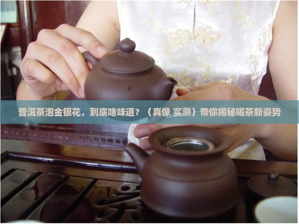 普洱茶泡金银花怎样