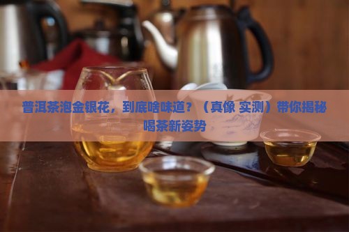 普洱茶泡金银花怎样