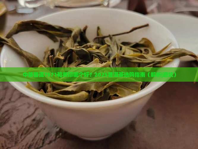 中茶普洱7571和黄印哪个好