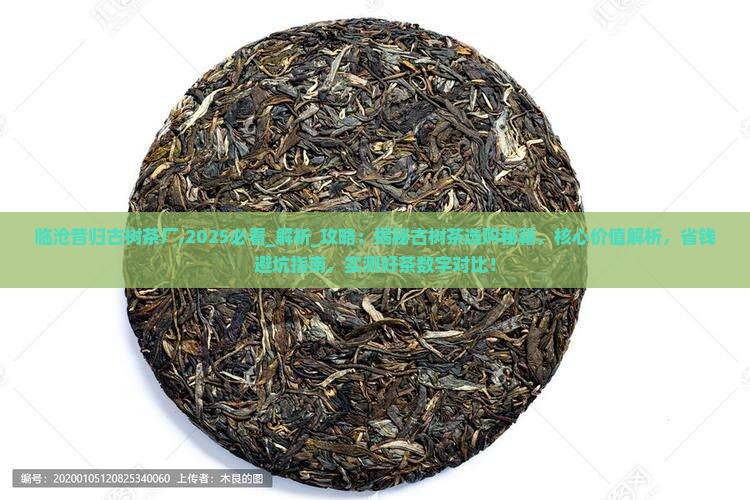临沧昔归古树茶厂