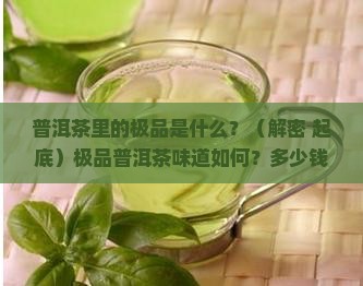 普洱茶里的极品是什么