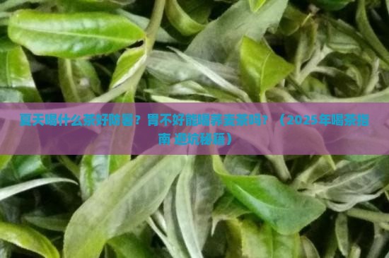 夏天喝什么茶好防暑胃荞麦