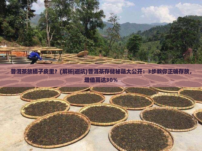 普洱茶放橘子皮里