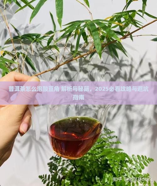 普洱茶怎么泡酸豆角