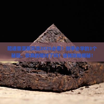 昭通普洱茶交流