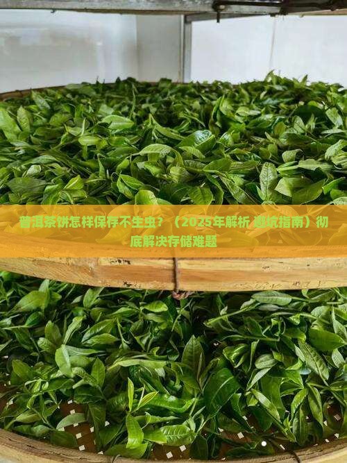普洱茶饼怎样保存不生虫