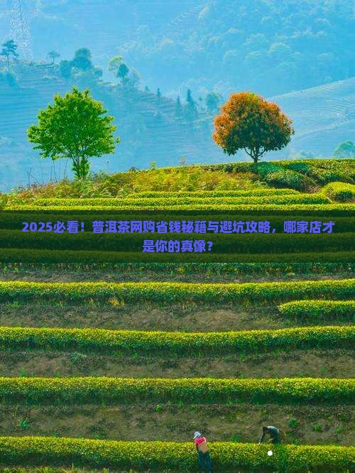 普洱茶网上那家店靠谱