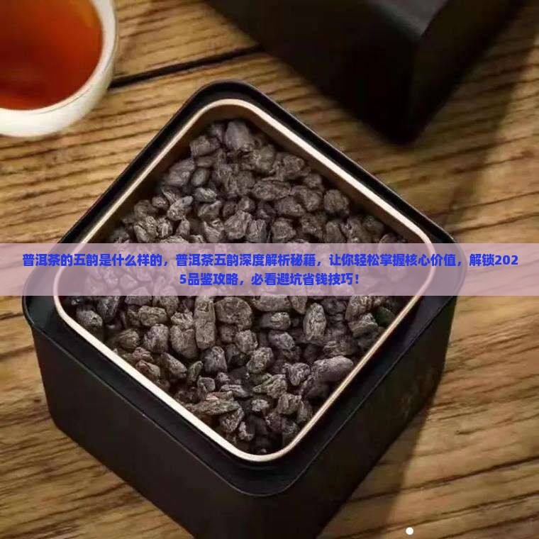 普洱茶的五韵是什么样的