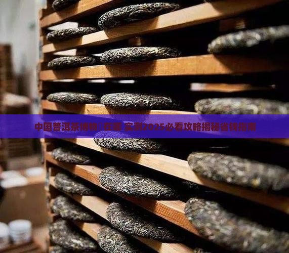 中国普洱茶博物館在哪