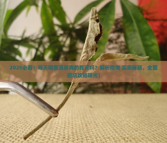 每天喝一点普洱茶有害吗