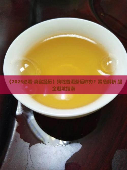 狗吃了普洱茶呀
