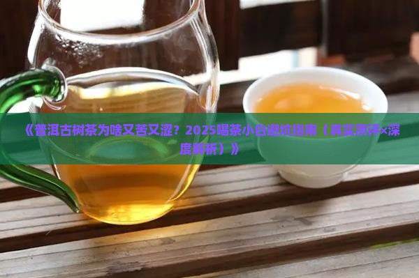 普洱茶古树茶苦涩度是多少